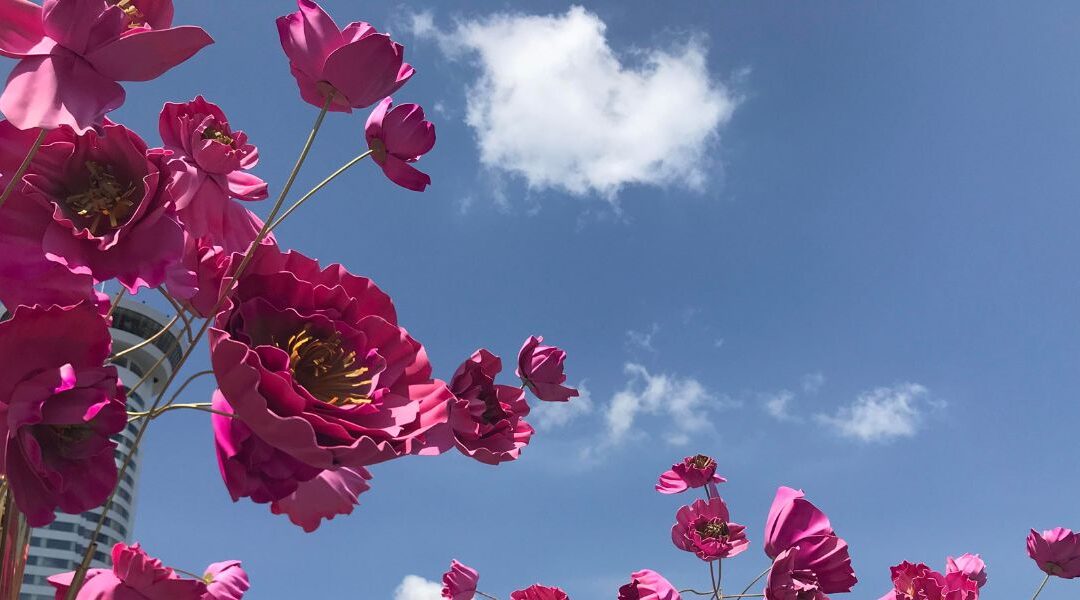 Confidence to Begin as a Virtual Assistant