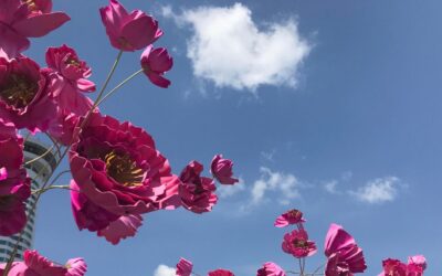 Confidence to Begin as a Virtual Assistant