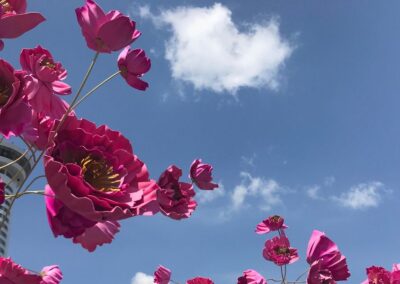 Confidence to Begin as a Virtual Assistant
