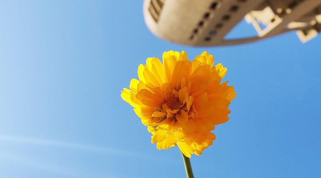 Imposter Syndrome: Releasing the Doubt That Holds You Back