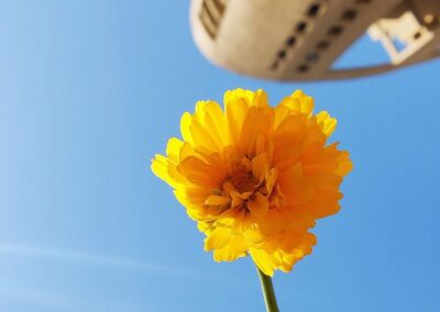 Imposter Syndrome: Releasing the Doubt That Holds You Back