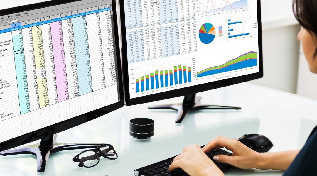 Data Entry Virtual Assistant