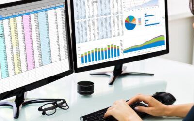 Data Entry Virtual Assistant