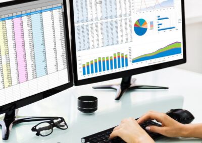 Data Entry Virtual Assistant