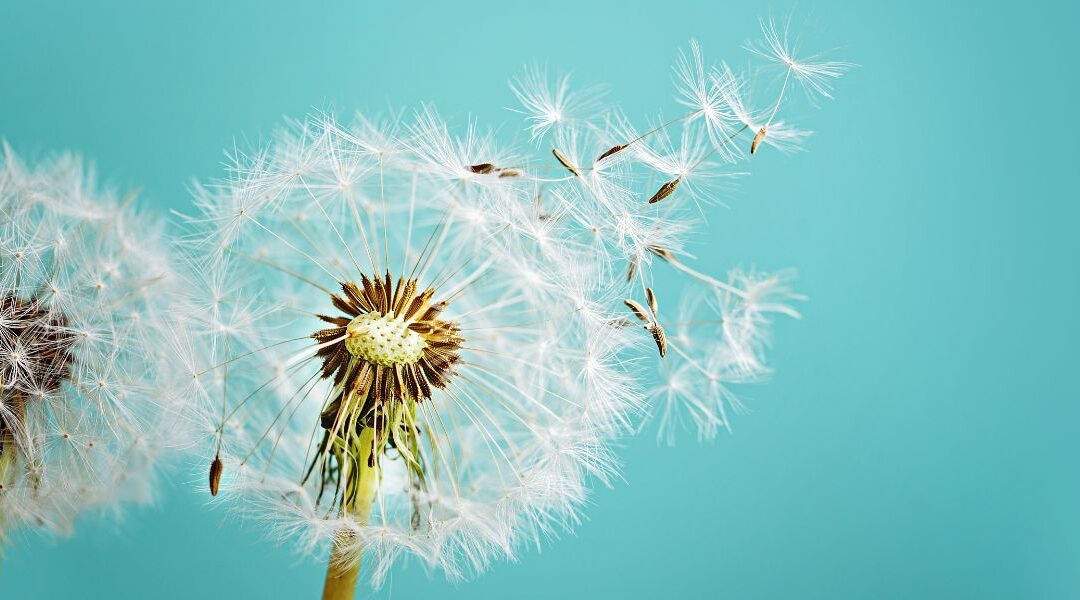 Persistence and Patience: Knowing When to Push Forward and When to Wait