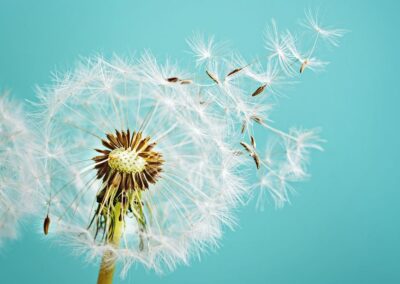 Persistence and Patience: Knowing When to Push Forward and When to Wait