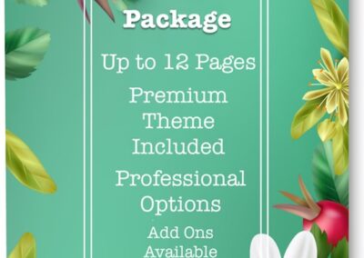 Professional Website Package
